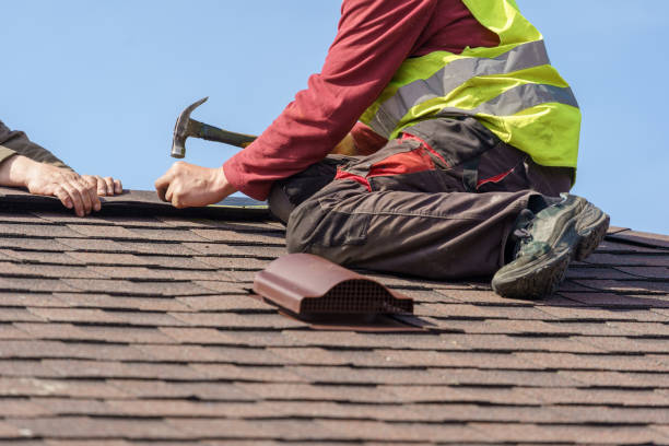 Best Local Roofing Companies  in Roseau, MN