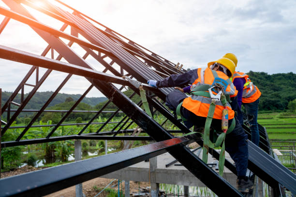 Best Affordable Roofing Company  in Roseau, MN