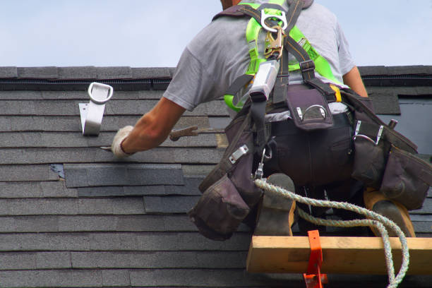 Best Flat Roof Repair Services  in Roseau, MN