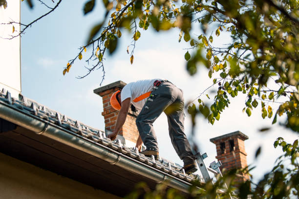 Best Roof Waterproofing Services  in Roseau, MN