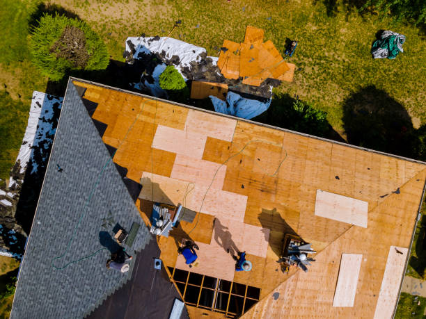 Professional Roofing Contractor in Roseau, MN