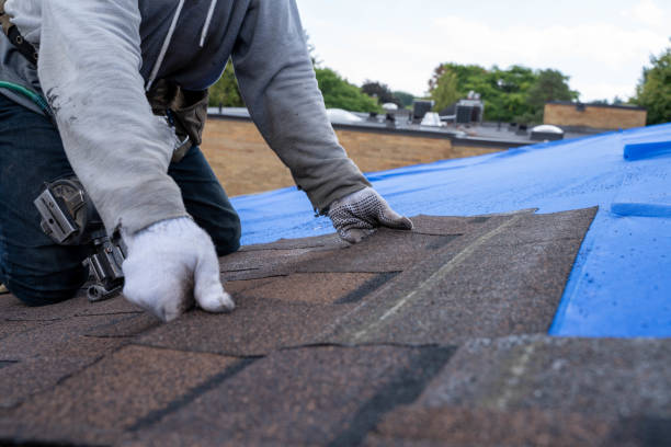 Residential Roof Replacement in Roseau, MN