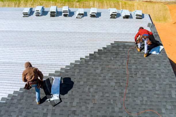 Best Roof Gutter Cleaning  in Roseau, MN