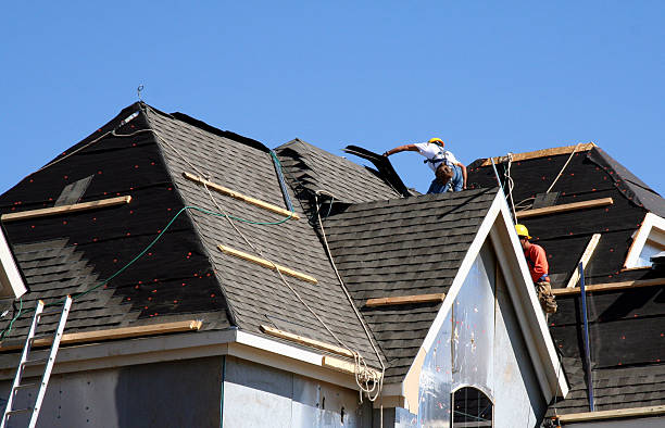 Best Residential Roofing Contractor  in Roseau, MN