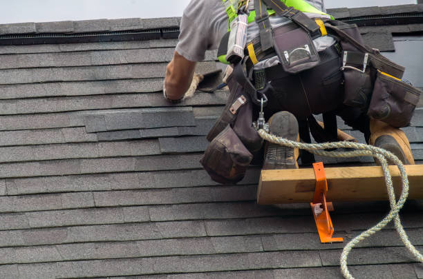 Gutter Installation and Roofing in Roseau, MN