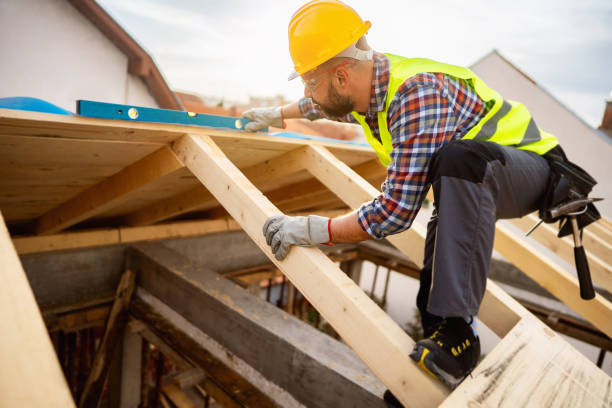 Best Affordable Roofing Company  in Roseau, MN