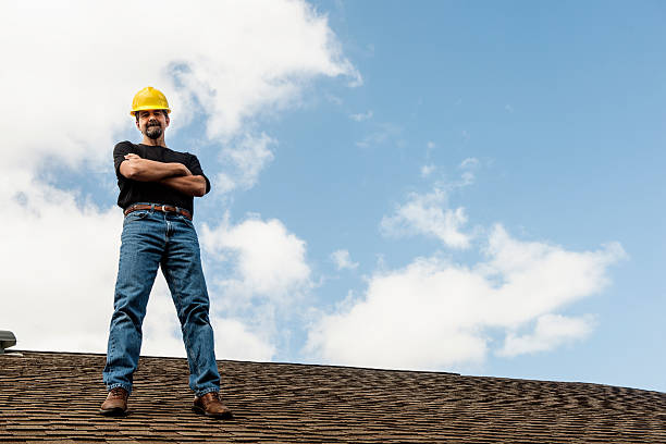 Best Roof Leak Repair  in Roseau, MN