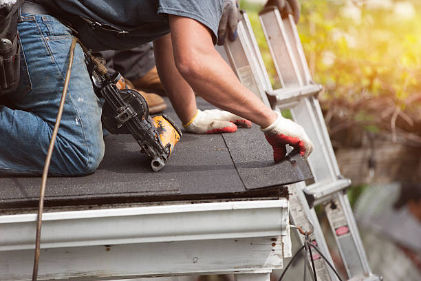 Best Metal Roofing Contractor  in Roseau, MN