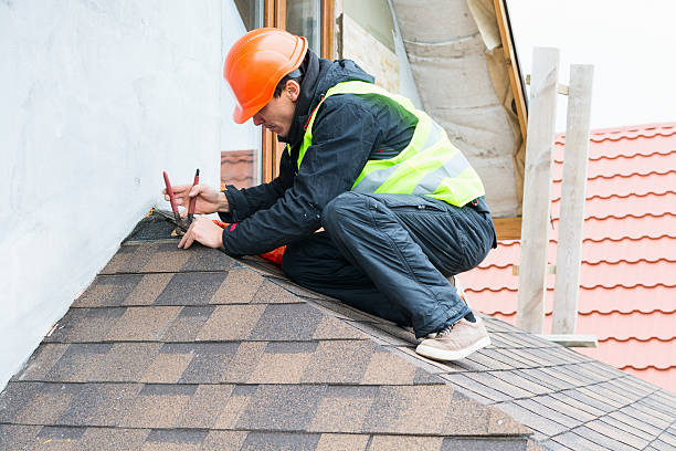 Best Best Roofing Contractors  in Roseau, MN