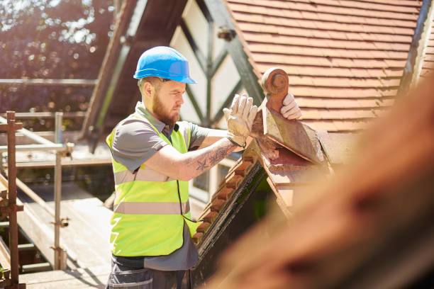 Best Roof Replacement Cost  in Roseau, MN