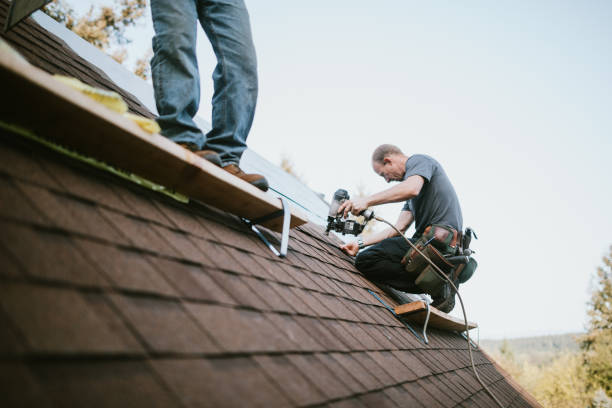 Best Roof Maintenance Services  in Roseau, MN