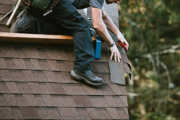 Best Emergency Roof Repair  in Roseau, MN