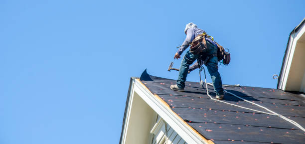 Quick and Trustworthy Emergency Roof Repair Services in Roseau, MN